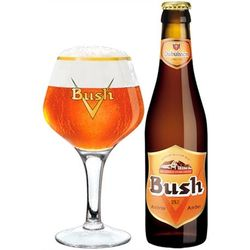 Bush Ambrée