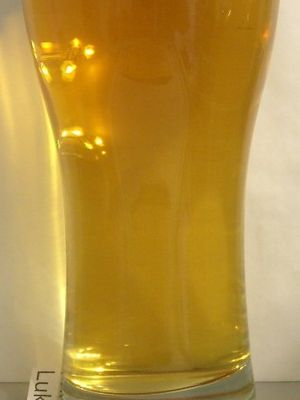 Gold Gans Bier (Пенза-Очаково)