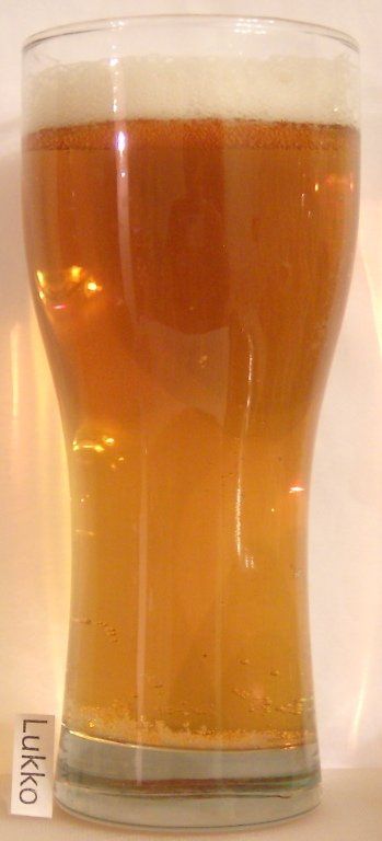 Budweis Bohemia Premium světlý ležák — фото 2