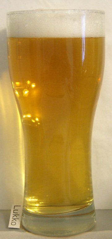 Gold Gans Bier (Пенза-Очаково) — фото 2