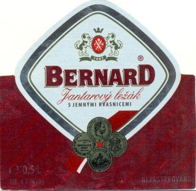 Bernard Jantarový Ležák — фото 1