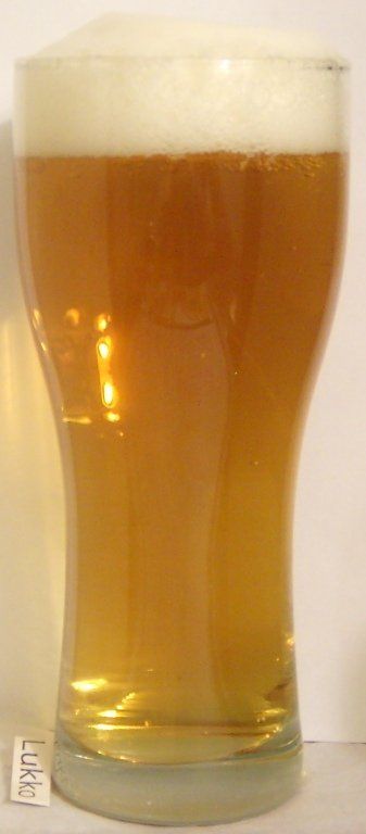 Holba Premium — фото 2