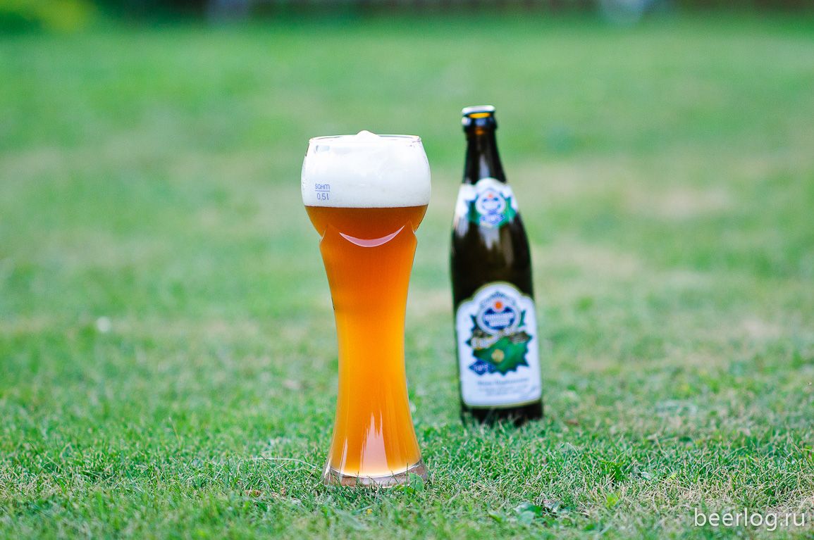 Schneider Weisse TAP5 Meine Hopfenweisse — фото 2