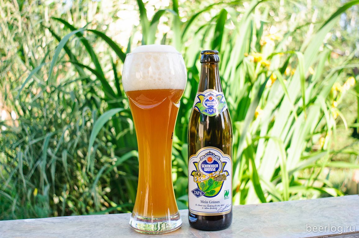 Schneider Weisse TAP4 Mein Grünes — фото 3