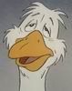 Crazygoose
