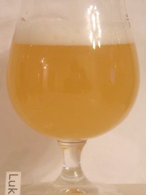 Hoegaarden witbier-biere blanche