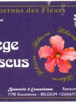 Florilege d'Hibiscus